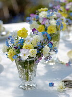 Small spring bouquets of viola cornuta, myosotis