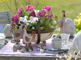 Tulipa 'Globe', Viola cornuta in a round chip basket