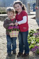 Kinder mit Primula acaulis (Primeln) in bunter Flechttasche