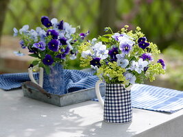 Viola wittrockiana and Alchemilla