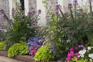 Summer flowerbed with leaf decoration and fragrant ornamental tobacco