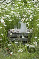 Old wine box turned upside down as table in daisy meadow