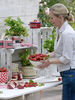 Freshly harvested strawberries and strawberry plants in pots