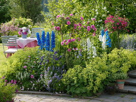 Sommerbeet mit Rosen und Rittersporn