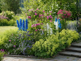 Sommerbeet mit Rosen und Rittersporn