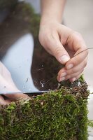 Making your own wire and moss planter box (7/10)