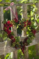 Heart of currants (Ribes) hung on a cottage garden fence