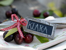 Süßkirschen (Prunus avium) mit Blättern und kleiner Schiefertafel