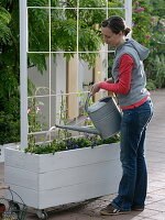 Box with homemade trellis aid made of rope