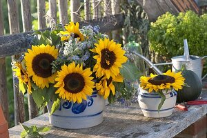 Strauß aus Helianthus (Sonnenblumen) und Borretsch (Borago)