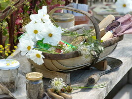 Basket with Cosmos (ornamental basket), fruit stems of Nigella