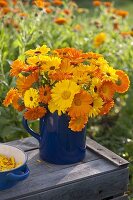 Bouquet of Calendula (marigolds) and bowl with harvested petals