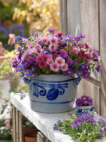 Autumn bouquet of aster in lard pot with salt glaze