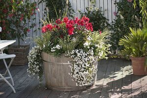 Planter with integrated parasol holder: 2/2