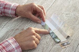 Making seed bags from calendar sheets yourself