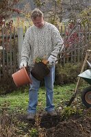 Man plants Japanese fan maple in bed