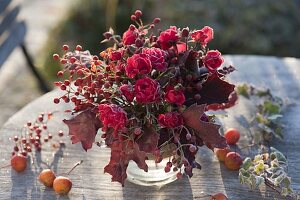 Blossom of red rose (rose, rosehip), Acer