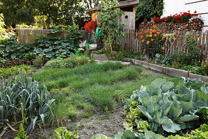 Gemüsegarten mit Bretter als Beeteinfassung, Gartenhäuschen, Zaun, Brennholz am Haus