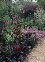 Pink, red: Rose, Centranthus Ruber, Diascia, Achillea