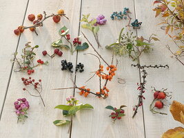 Berry tableau: Malus (ornamental apple), Symphoricarpos (coral berry)