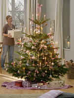 Abies nordmanniana (Nordmann fir) decorated with pastel baubles