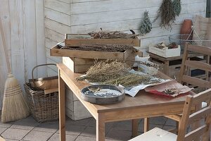 Seed harvest in autumn