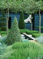 Formal garden with cut boxwood