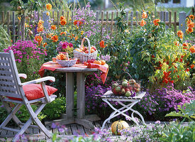 Autumn bed Seat Fruits Fence