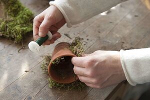 Covering clay pots with birch branches (2/4)