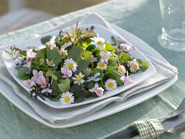 Wild herb salad as a spring cure