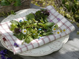 Freshly picked wild herb salad