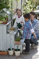 Sowing with children on the terrace