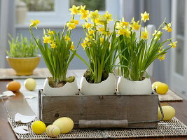 Easter decoration with ostrich eggs