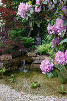 Kleiner Teich im asiatischen Stil mit Buddha-Figur, Trockenmauer und Wasserfall, Rhododendron (Alpenrose), Acer palmatum 'Atropurpureum' (Fächerahorn), Wand bewachsen mit Hedera (Efeu)