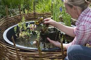 Mini-Teich mit bepflanzter Einfassung aus Weide (7/12)