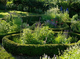 Mit Buxus (Buchs) eingefaßte kleine Kräuter- und Blumenbeete