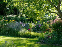 Natural garden with roses and perennials