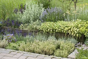 Herb bed with willow border