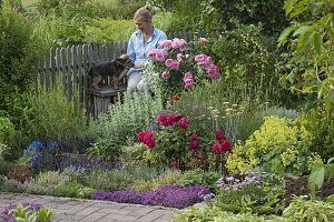 Herb bed with roses