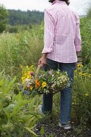 Freshly harvested medicinal herbs for tea