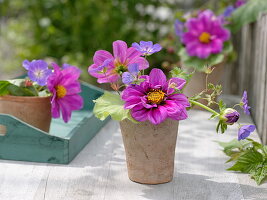 Small arrangement in terracotta pot (3/3)