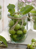 Grüne Äpfel (Malus) in Einmachglas, dekoriert mit Rupfenschnur