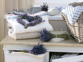 Lavendel (Lavandula) als Wäscheschutz