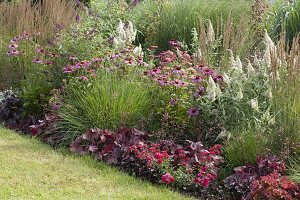 Summer bed with perennials and grasses