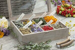 Medicinal herbs box