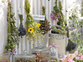 Bouquets of herbs to dry: holy basil, tulsi (Ocimum sanctum)