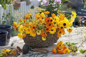 Korb mit frisch geschnittenen Calendula (Ringelblumen) und Fenchel