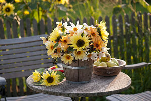 Bouquet of Helianthus (sunflowers) and Dahlia (dahlias) in wooden pot