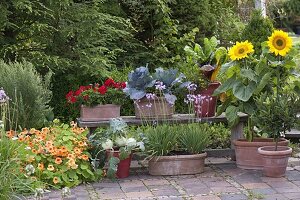 Snack terrace with herbs and vegetables