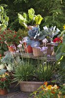 Skiving terrace with herbs and vegetables